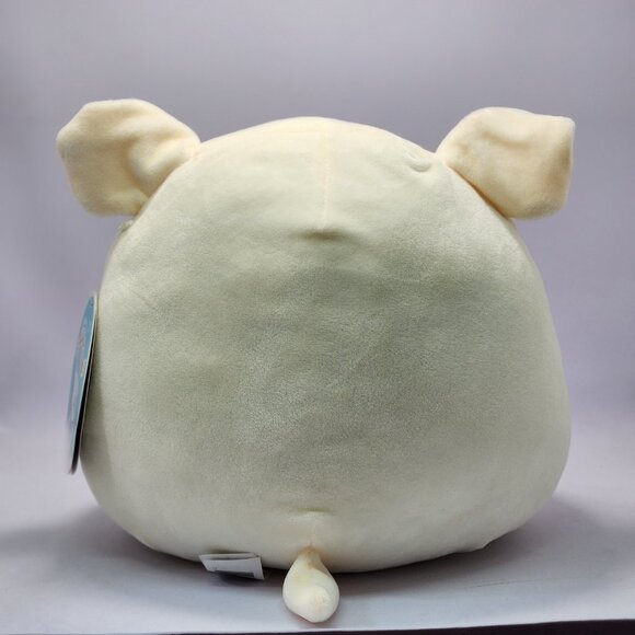 Squishmallow Elanor the Pirate Bulldog! 8”  NWT - Picture 2 of 12